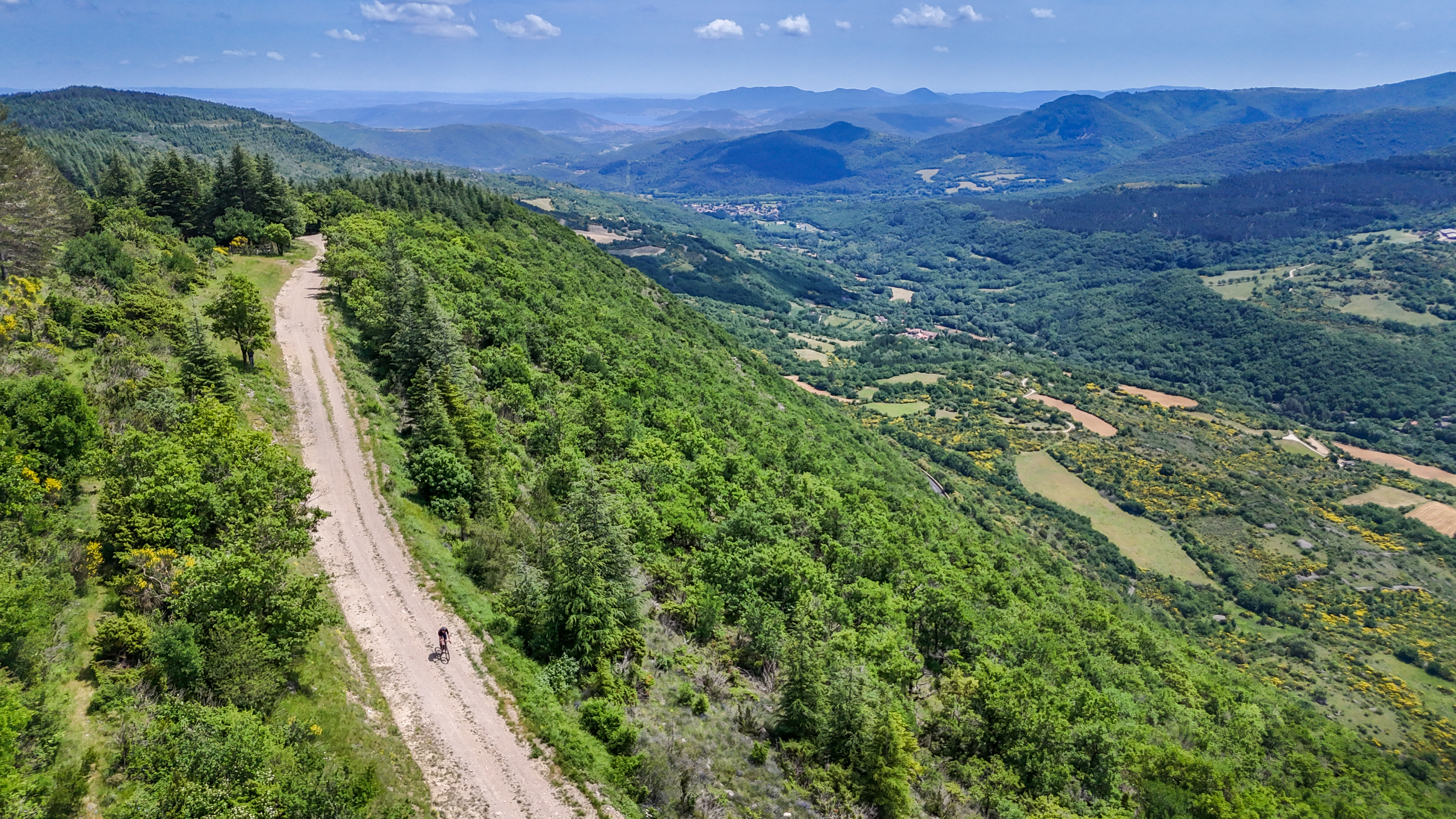 Cycliste sur piste forestière du Plateau du Grezac