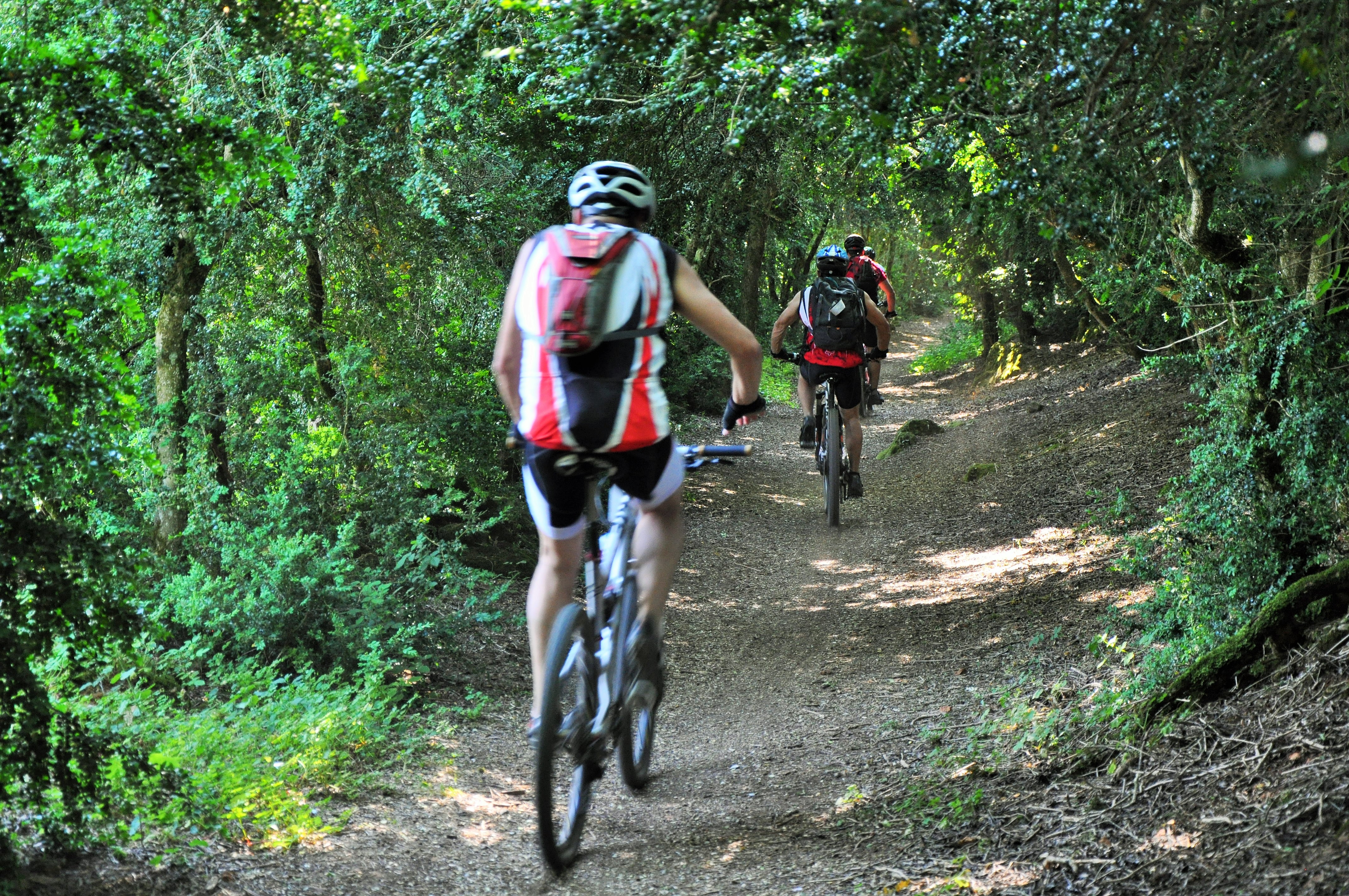 Dans les buissières du Larzac