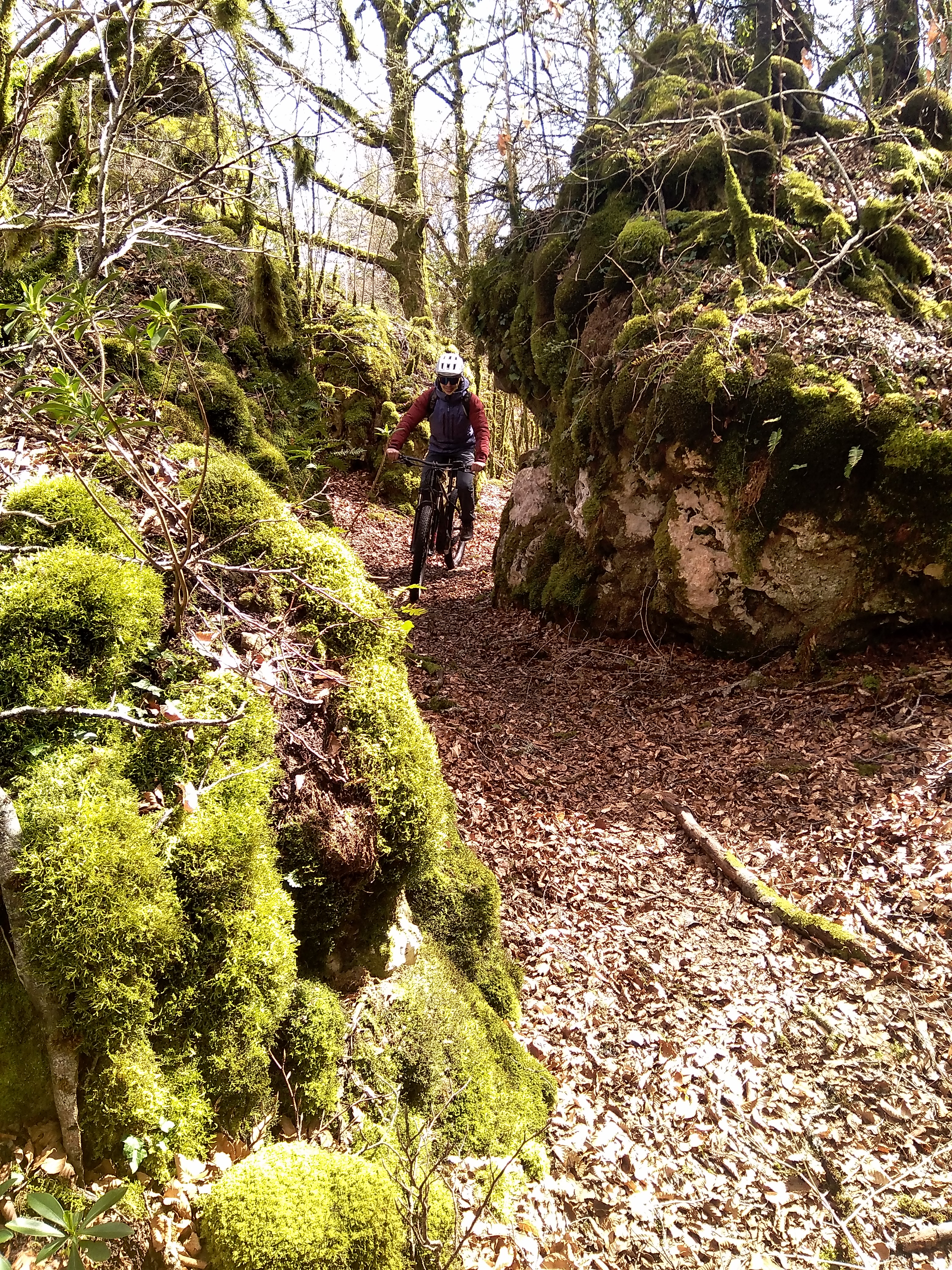 VTTiste et ruiniforme