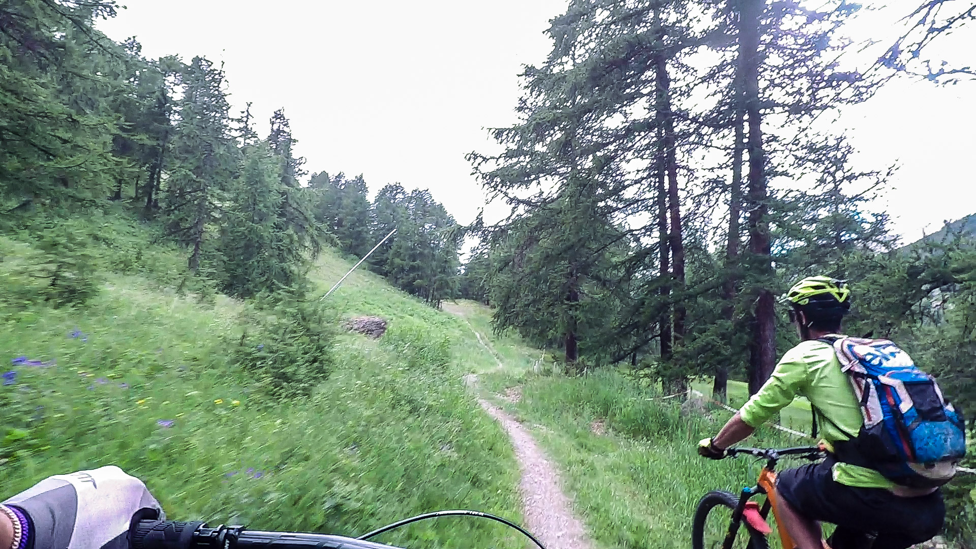 Bois de la Blanche
