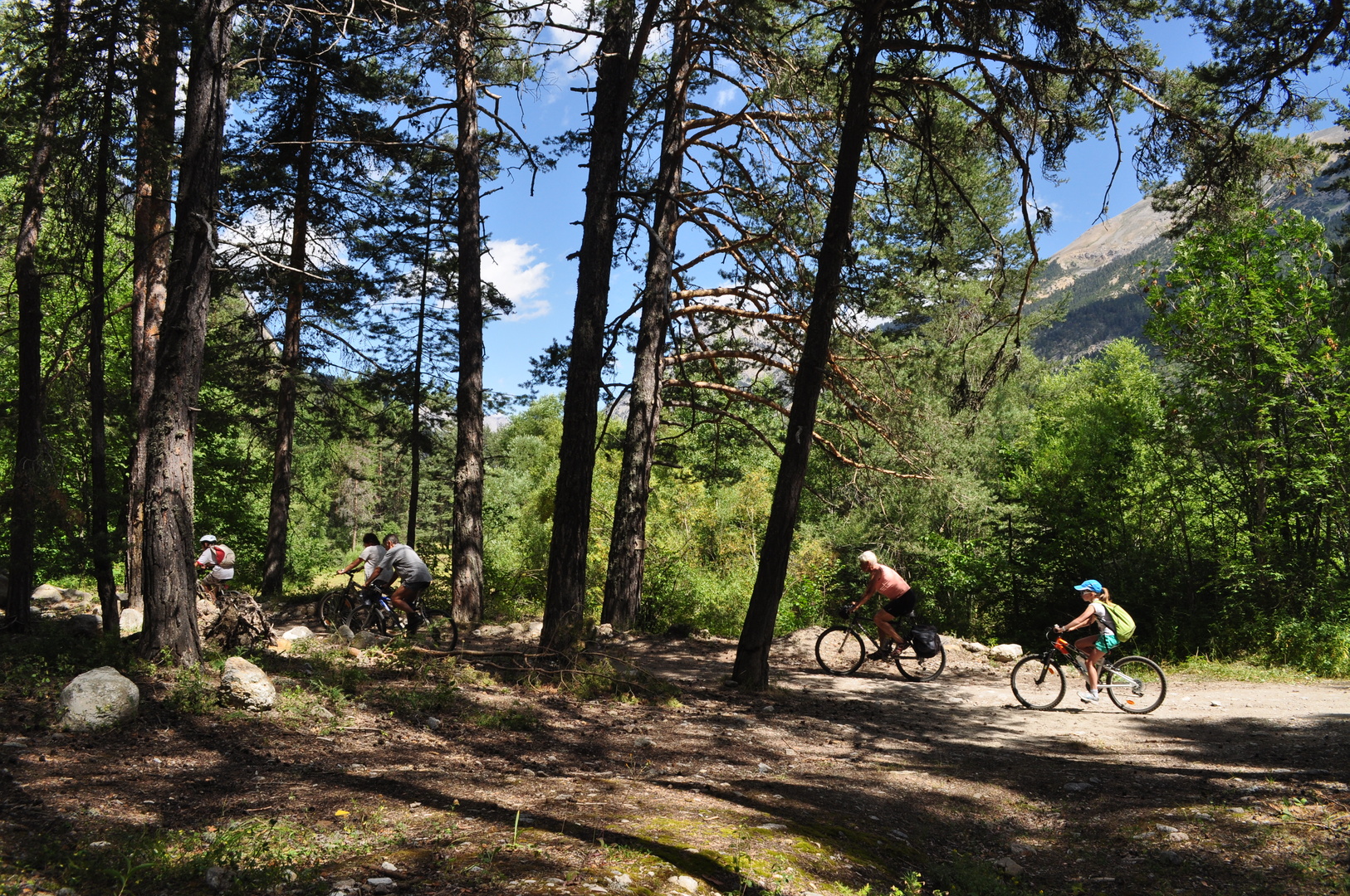 Balade en VTT dans les bois